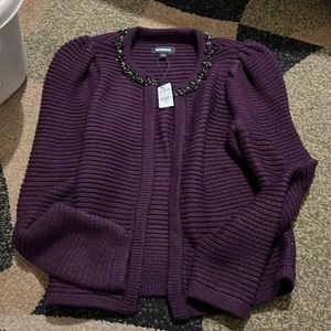 Express Plum Sweater